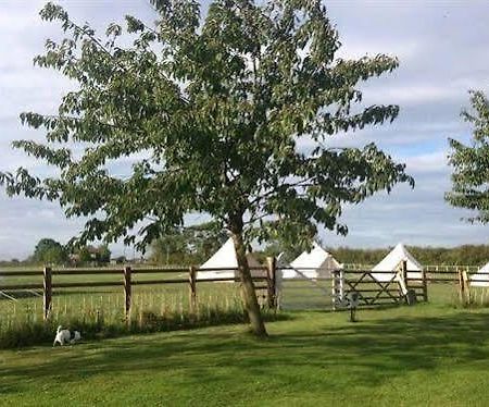 Skipbridge Farm Shepherds Huts Campground Green Hammerton Exterior foto