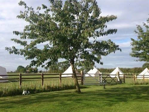 Skipbridge Farm Shepherds Huts Campground Green Hammerton Exterior foto
